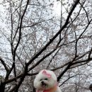 롯데스파랜드