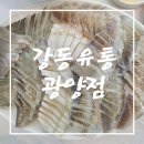 신선유통 | [광양시 맛집] 신선한 회 추천!!강동유통 광양점 방문 솔직 후기!!