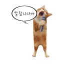 목포미즈아이병원 이미지