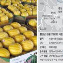 市승격 향해… 함안군, 삼두마차 타고 "이랴~" 이미지