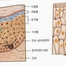 김태형피부과의원 이미지
