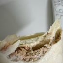 커피;정기구독 | 식단관리로 딱이었던 샐그램 샐러드 정기구독 추천 후기