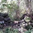 붉은오름자연휴양림3 이미지