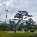 송일관