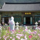 여명사