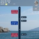 그린좌대낚시터 이미지