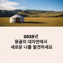 별빛사냥 | [2025 몽골여행 완벽 가이드] 유르트 숙박·별빛 캠핑·낙타 체험까지! 자연 속 힐링 여행