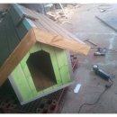 멍멍이 집 이미지