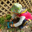 청덕꼬마천사어린이집 이미지