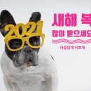 이쁘개 아름답개 이미지