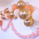 기타연주 | 봄파티 후기 - 포웨이즈 기타 (공연/연주/모임)