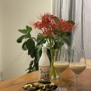 선흘별채
