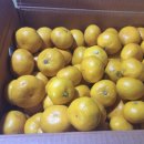 효우농장 이미지