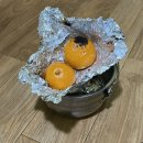 느티나무야영장 이미지