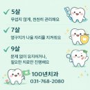 야음앞선치과의원 | 아이 유치 치료 시기,5살·7살·9살에 치료가 달라지는 이유 - 1/19후속편