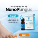 풋스올종로