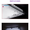 인터라인 이미지