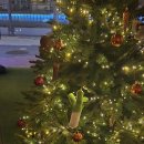 라베니체4차 화장실 | 김포 라베니체 2차 술집 추천｜청모로 다녀온 다이어메이커 김포 분위기·주류 총정리