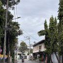 채식향기 | [방콕 day 2] 짜뚜짝시장 로컬맛집 채식식당 chamlong's/ 미슐랭맛집 옹통카오소이 방콕배달음식