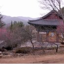 금전사 Daum카페