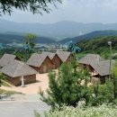 월남파병용사 만남의 장 네이버블로그