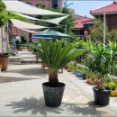 봄날서울요양원 이미지