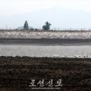 북, 동서해연안에서 봄철이행시기 물새조사.. 람사르기준 만족 이미지