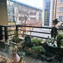 부평직화구이쌈밥 이미지