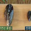 뚝배기섭국 이미지