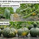 부농원 농약사 네이버블로그