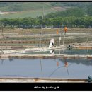 두산목장 이미지