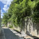 일심한의원 | 대전 근교 카페 추천 | 빵지순례 필수코스 투드커피🥯🥐🍞🥖🥨🍰