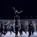 제전악-장미의 잔상 이미지