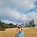 플라주펜션 | [강아지 동반 여행] 제주 3일차 / 서귀포 칼호텔 / 반려견동반 카페 허니문하우스 / 봉주르마담(최애...