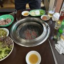 마포최대포숯불갈매기