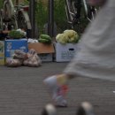 관촌약국 이미지