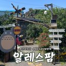 어린이날 어린이날 축제 애월 이색여행코스로 추천 친구와 함께 타임캡슐 만들고 왔어요 알레스팜솔직후기
