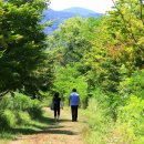 연꽃마을건넌들 이미지