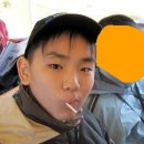 버디버디A 이미지