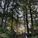 봉제산 화곡배수지 화장실 | 서울 가을 가볼만한곳 봉제산 둘레길 트레킹 단풍 고양이산책