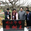 그리고사과 이미지