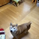 성북동1 이미지