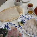 신도 | 제주/ 모슬포 근처 독채 감성숙소 "신도1400" 숙박 후기