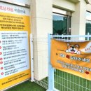 펫프닝 타운 이미지