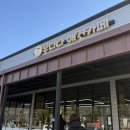 우다다 펫택시 이미지