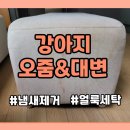 공공당구장 | 강아지 오줌 대변 실수로 얼룩과 악취 오염된 쇼파 완벽 복구 후기