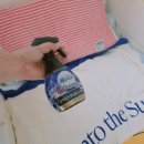 미스티크 | 페브리즈 섬유탈취제 다우니 미스티크 내돈내산 후기