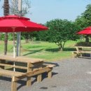 그린티하우스 이미지