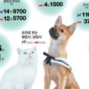 안심베드