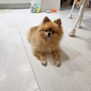 살롱드미미즈 이미지